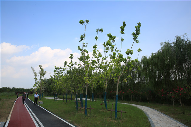 1599117300189126.jpg W020200828417138069168.jpg