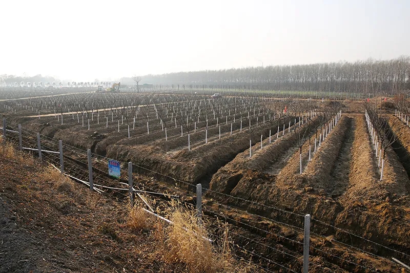 1609121410150205.jpg 640.webp (19).jpg