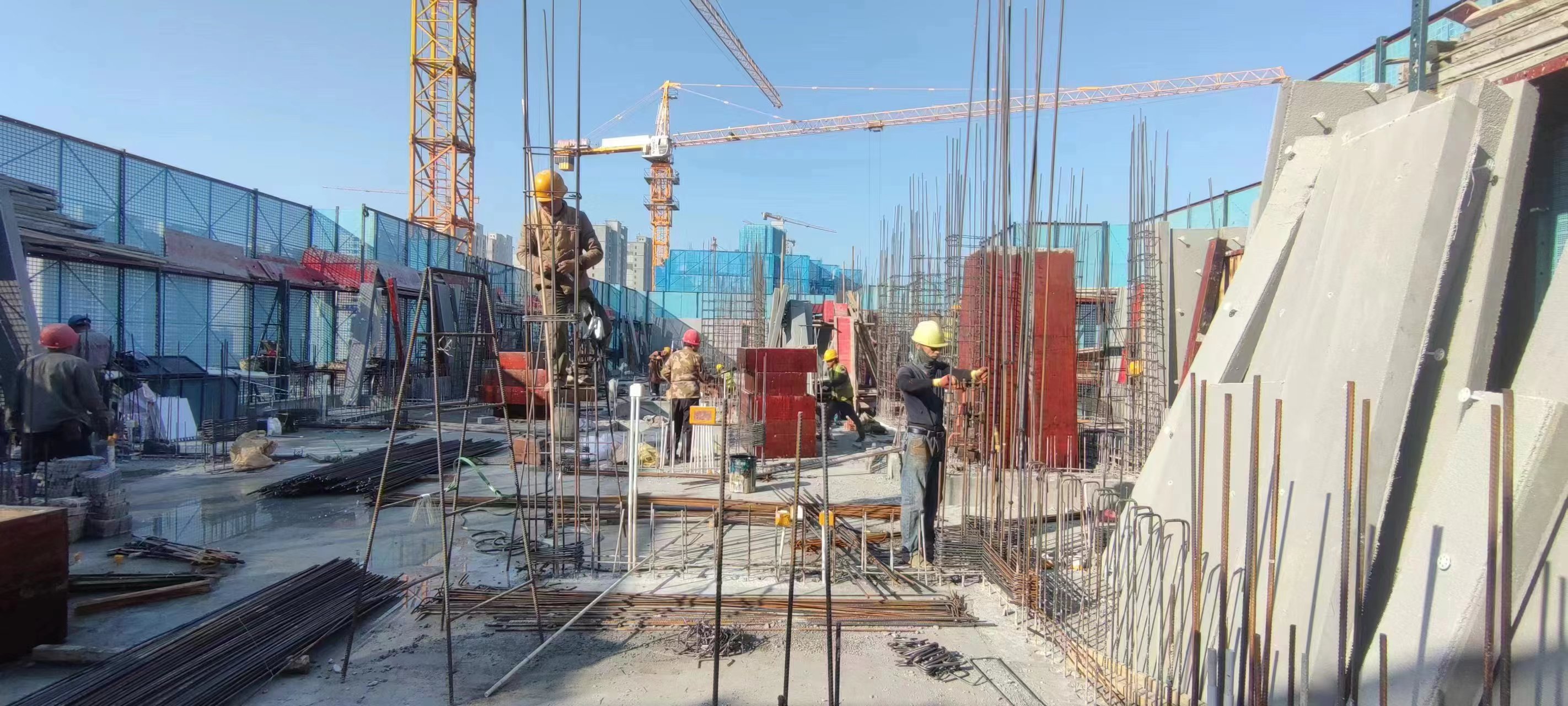 1702088826737357.jpg 2.jpg